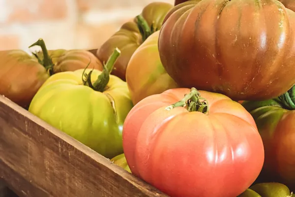 Heirloom tomato seeds from a Canadian grower
