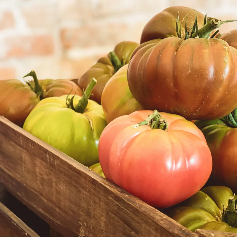 Heirloom tomato seeds from a Canadian grower
